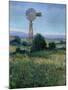 Rural Life-Tim O'toole-Mounted Giclee Print