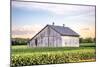 Rural Ohio Barn-Donnie Quillen-Mounted Premium Giclee Print