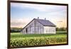 Rural Ohio Barn-Donnie Quillen-Framed Art Print