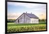 Rural Ohio Barn-Donnie Quillen-Framed Art Print