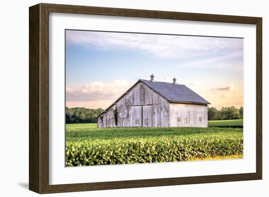 Rural Ohio Barn-Donnie Quillen-Framed Art Print