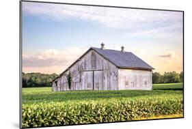 Rural Ohio Barn-Donnie Quillen-Mounted Art Print