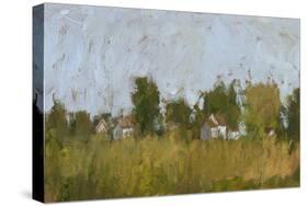 Rural Panorama I-Ethan Harper-Stretched Canvas