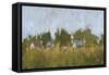 Rural Panorama II-Ethan Harper-Framed Stretched Canvas