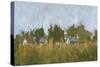 Rural Panorama II-Ethan Harper-Stretched Canvas