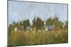 Rural Panorama II-Ethan Harper-Mounted Art Print