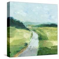 Rural Path II-Ethan Harper-Stretched Canvas