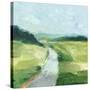 Rural Path II-Ethan Harper-Stretched Canvas