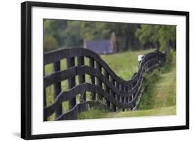 Rural Rappahannock County, Virginia, USA-Dennis Brack-Framed Photographic Print