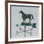 Rural Relic Horse-Arnie Fisk-Framed Giclee Print