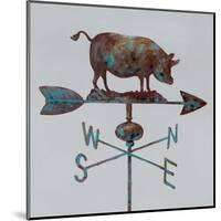 Rural Relic Pig-Arnie Fisk-Mounted Art Print