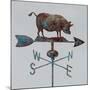 Rural Relic Pig-Arnie Fisk-Mounted Giclee Print