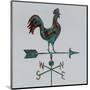 Rural Relic Rooster-Arnie Fisk-Mounted Art Print