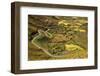 Rural Road and Yellow Landscape-Jon Hicks-Framed Photographic Print