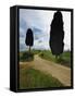 Rural Road between Two Cypress Trees, Tuscany, Italy-Adam Jones-Framed Stretched Canvas