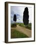 Rural Road between Two Cypress Trees, Tuscany, Italy-Adam Jones-Framed Photographic Print