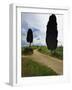 Rural Road between Two Cypress Trees, Tuscany, Italy-Adam Jones-Framed Photographic Print