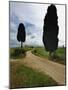 Rural Road between Two Cypress Trees, Tuscany, Italy-Adam Jones-Mounted Photographic Print