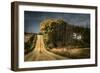 Rural Road Disappearing into Distance in USA-Jody Miller-Framed Photographic Print