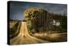 Rural Road Disappearing into Distance in USA-Jody Miller-Stretched Canvas