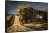 Rural Road Disappearing into Distance in USA-Jody Miller-Framed Stretched Canvas