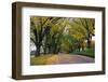 Rural Road in Autumn-Darrell Gulin-Framed Photographic Print