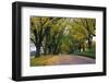 Rural Road in Autumn-Darrell Gulin-Framed Photographic Print