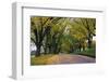 Rural Road in Autumn-Darrell Gulin-Framed Photographic Print