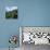 Rural Road in the Beinn Edra Range, Near Staffin, Isle of Skye, Scotland, United Kingdom, Europe-Roy Rainford-Stretched Canvas displayed on a wall