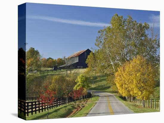 Rural Road Through Bluegrass in Autumn Near Lexington, Kentucky, USA-Adam Jones-Stretched Canvas