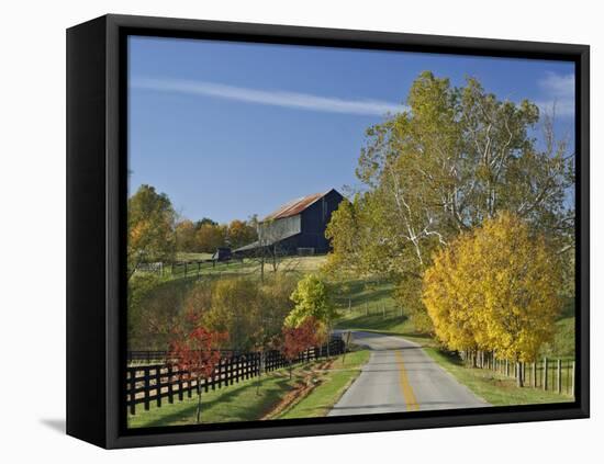 Rural Road Through Bluegrass in Autumn Near Lexington, Kentucky, USA-Adam Jones-Framed Stretched Canvas