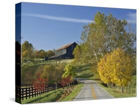 Rural Road Through Bluegrass in Autumn Near Lexington, Kentucky, USA-Adam Jones-Stretched Canvas