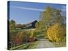 Rural Road Through Bluegrass in Autumn Near Lexington, Kentucky, USA-Adam Jones-Stretched Canvas