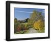 Rural Road Through Bluegrass in Autumn Near Lexington, Kentucky, USA-Adam Jones-Framed Photographic Print