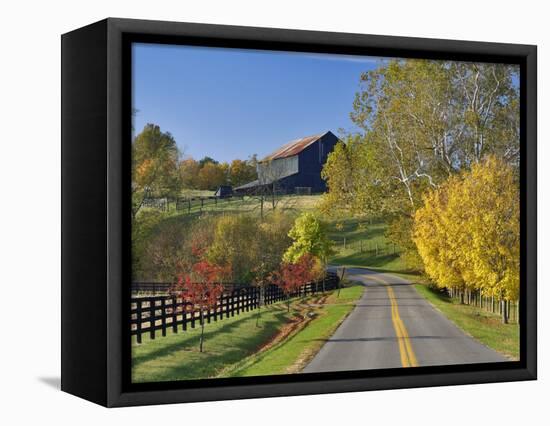 Rural Road Through Bluegrass in Autumn Near Lexington, Kentucky, USA-Adam Jones-Framed Stretched Canvas