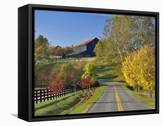 Rural Road Through Bluegrass in Autumn Near Lexington, Kentucky, USA-Adam Jones-Framed Stretched Canvas