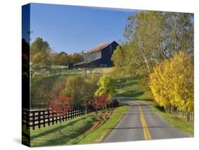 Rural Road Through Bluegrass in Autumn Near Lexington, Kentucky, USA-Adam Jones-Stretched Canvas