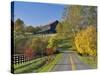 Rural Road Through Bluegrass in Autumn Near Lexington, Kentucky, USA-Adam Jones-Stretched Canvas