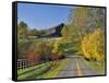 Rural Road Through Bluegrass in Autumn Near Lexington, Kentucky, USA-Adam Jones-Framed Stretched Canvas