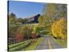 Rural Road Through Bluegrass in Autumn Near Lexington, Kentucky, USA-Adam Jones-Stretched Canvas