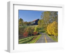 Rural Road Through Bluegrass in Autumn Near Lexington, Kentucky, USA-Adam Jones-Framed Photographic Print