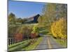 Rural Road Through Bluegrass in Autumn Near Lexington, Kentucky, USA-Adam Jones-Mounted Photographic Print