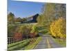 Rural Road Through Bluegrass in Autumn Near Lexington, Kentucky, USA-Adam Jones-Mounted Photographic Print
