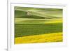 Rural road through field of yellow canola and wheat, Palouse farming region of Eastern Washington S-Adam Jones-Framed Photographic Print