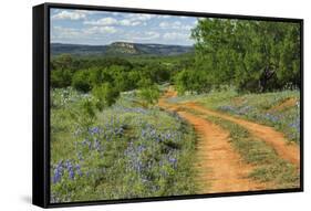 Rural road through Texas bluebonnets, Texas hill country.-Adam Jones-Framed Stretched Canvas