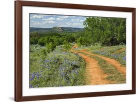 Rural road through Texas bluebonnets, Texas hill country.-Adam Jones-Framed Photographic Print