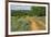 Rural road through Texas bluebonnets, Texas hill country.-Adam Jones-Framed Photographic Print