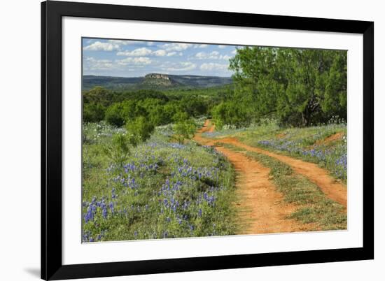 Rural road through Texas bluebonnets, Texas hill country.-Adam Jones-Framed Photographic Print