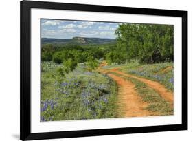 Rural road through Texas bluebonnets, Texas hill country.-Adam Jones-Framed Photographic Print