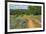 Rural road through Texas bluebonnets, Texas hill country.-Adam Jones-Framed Photographic Print